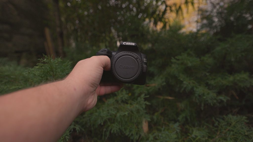 Canon 250D: Is the Camera Actually Worth It? - SKYES Media