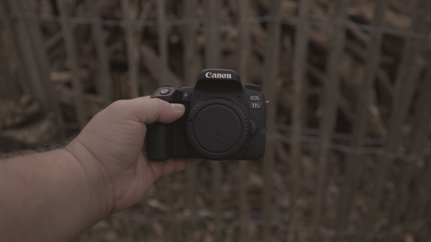 Canon 77D, no lens