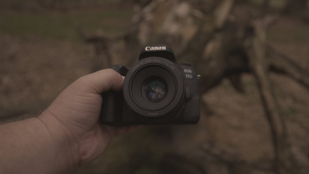 Canon EF 50mm f1.8 o Canon RF 50mm f1.8? ¿Cuál es mejor? - SKYES Media